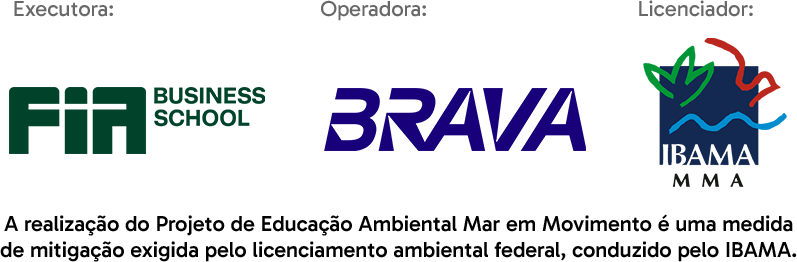 Executora: FIA Business School. Operadora: BRAVA. Licenciador: IBAMA/MMA. A realização do Projeto de Educação Ambiental Mar em Movimento é uma medida de mitigação exigida pelo licenciamento ambiental federal, conduzido pelo IBAMA.